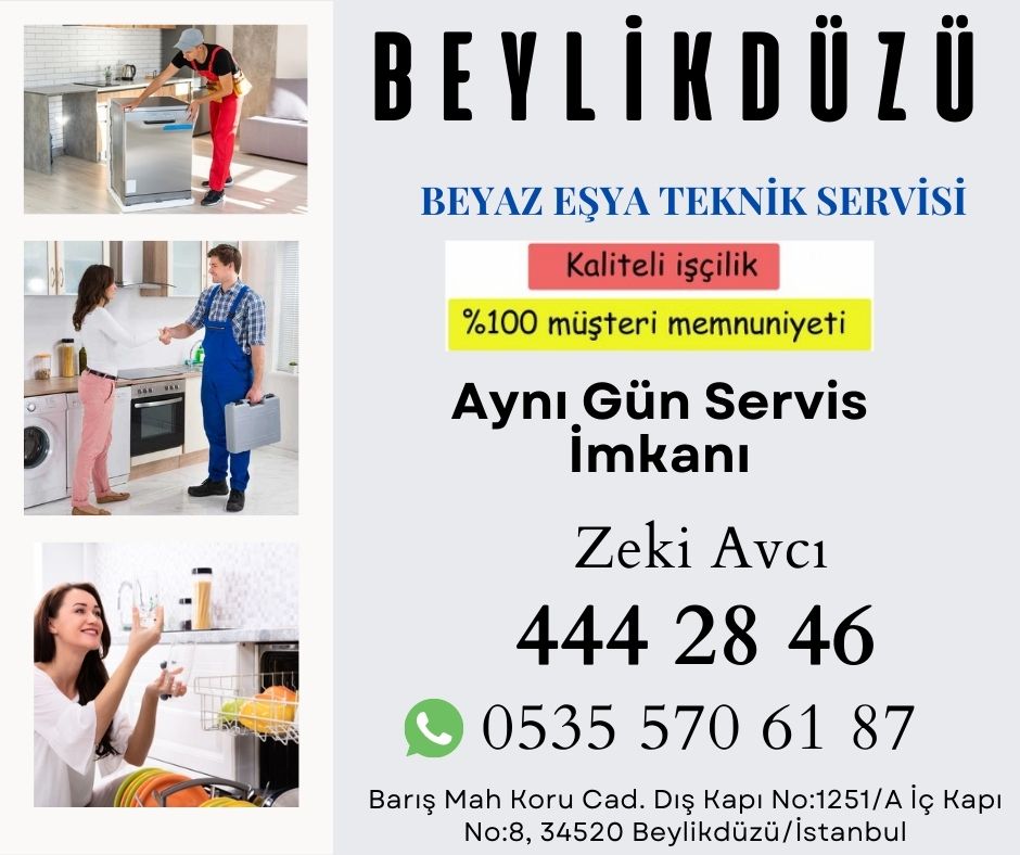 Beylikdüzü SEG Servisi 